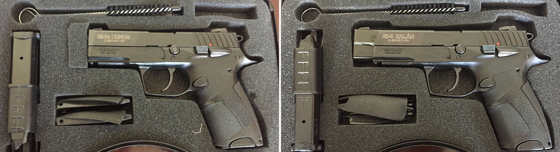 handgun